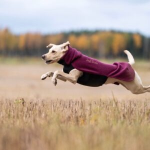 Lost Birds Treenivillapaita Punajuuri